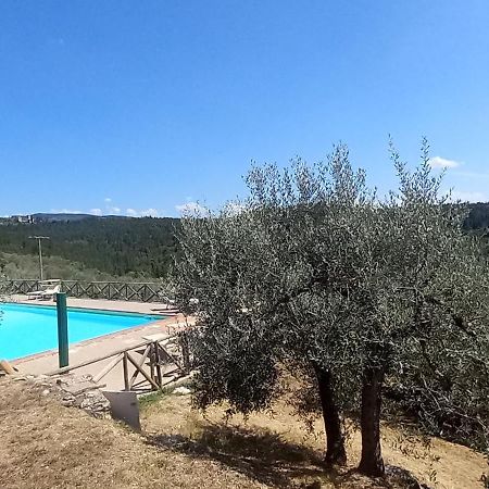 Borgo Nel Chianti Istrice Con Piscina Tennis E Wifi 카스텔리나인키안티 외부 사진