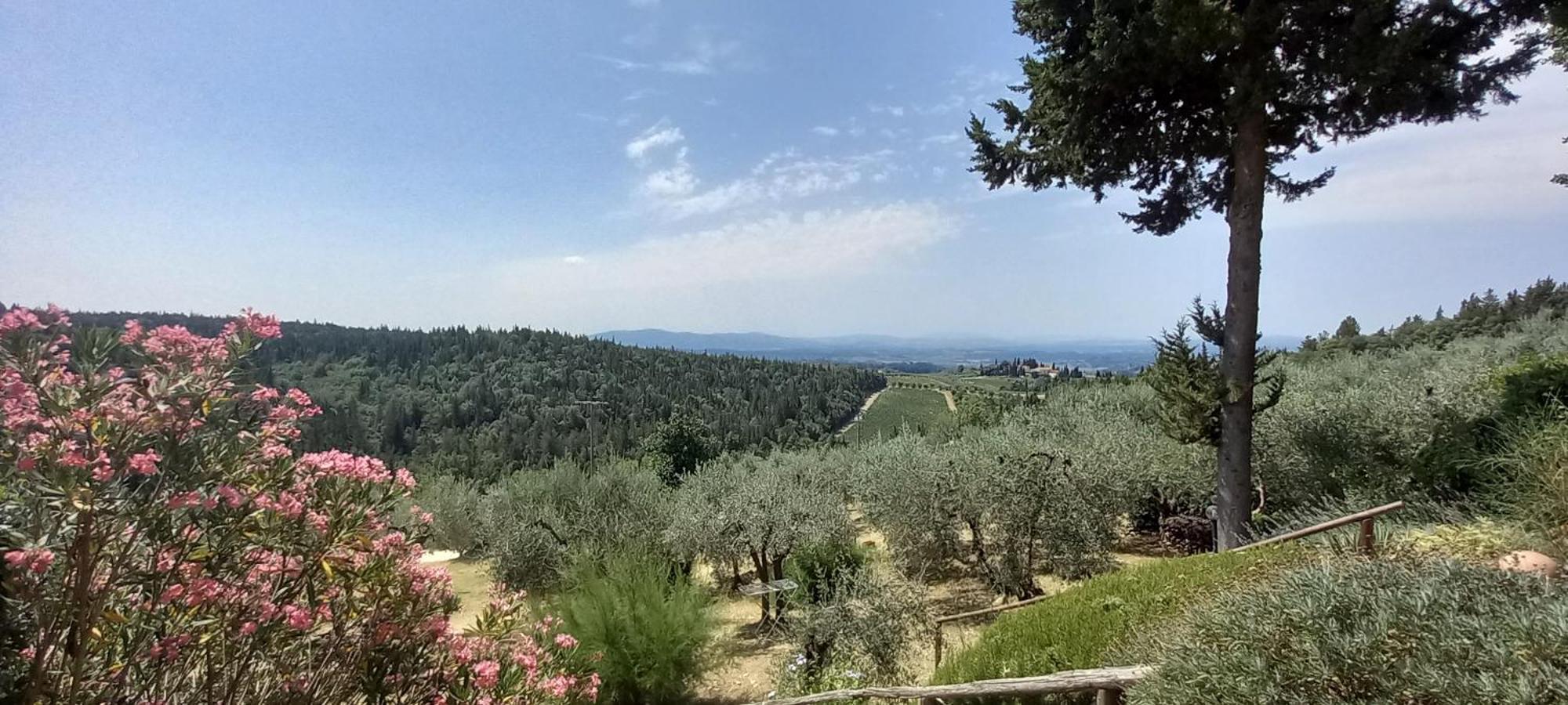 Borgo Nel Chianti Istrice Con Piscina Tennis E Wifi 카스텔리나인키안티 외부 사진