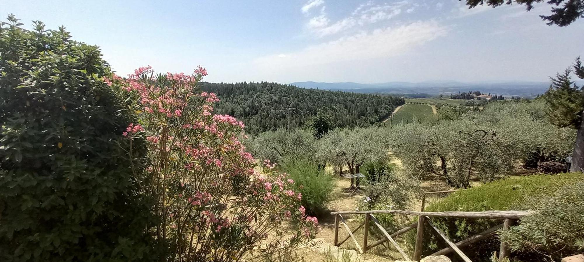 Borgo Nel Chianti Istrice Con Piscina Tennis E Wifi 카스텔리나인키안티 외부 사진