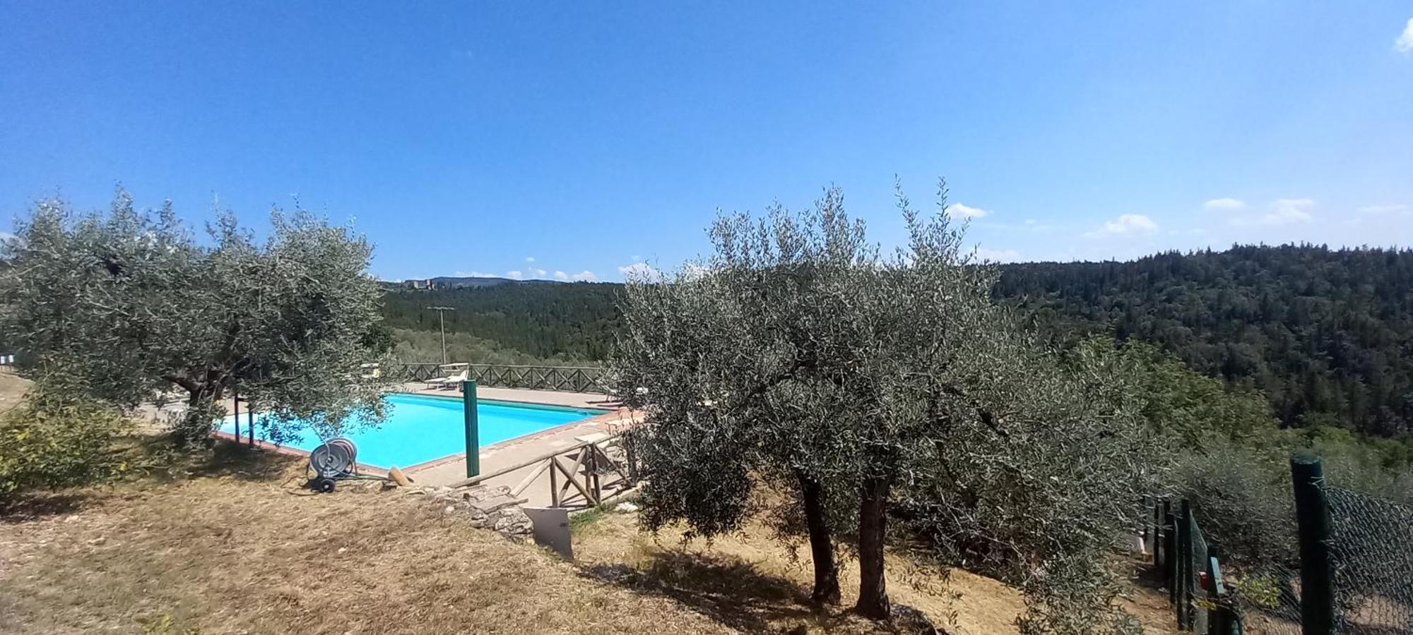 Borgo Nel Chianti Istrice Con Piscina Tennis E Wifi 카스텔리나인키안티 외부 사진